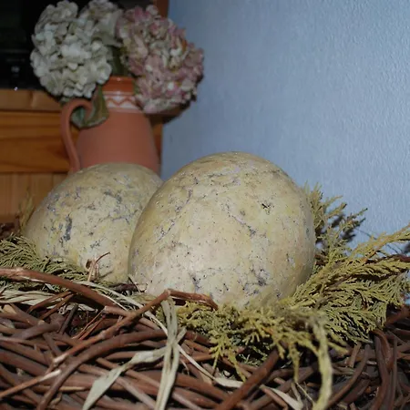 Idyllische Mit Pool In Mecklenburg Lägenhet *