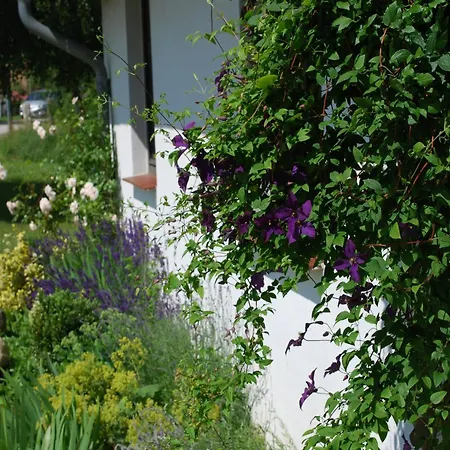 Idyllische Mit Pool In Mecklenburg Barlin