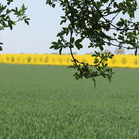 Lägenhet Idyllische Mit Pool In Mecklenburg