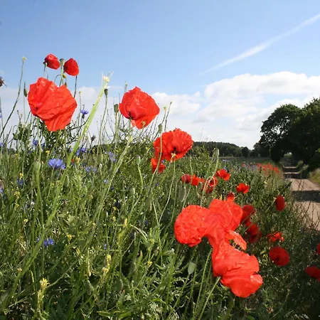 Lägenhet Idyllische Mit Pool In Mecklenburg *